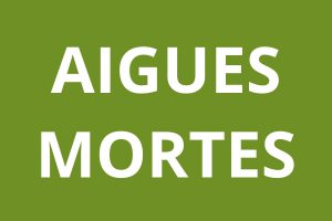 Agence CAF Aigues-Mortes