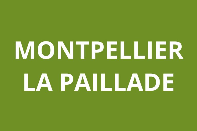 Agence CAF CAF MONTPELLIER La Paillade