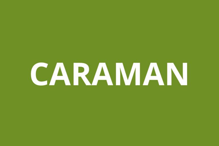 Agence CAF CARAMAN