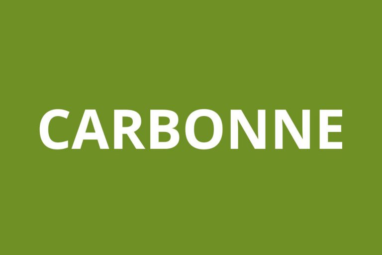 Agence CAF CARBONNE