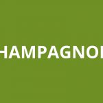 Agence CAF CHAMPAGNOLE
