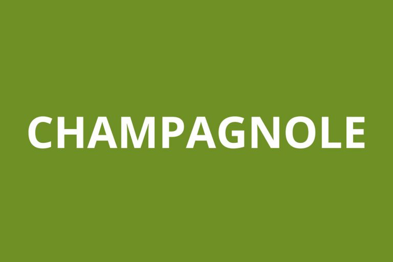 Agence CAF CHAMPAGNOLE