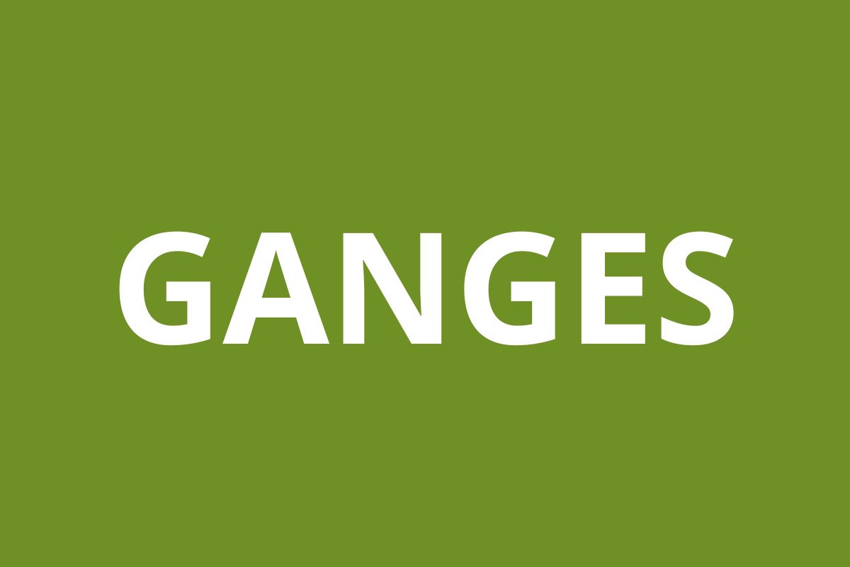 Agence CAF GANGES