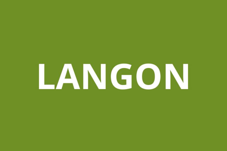 agence CAF LANGON logo