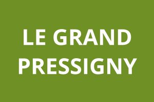logo Agence CAF LE GRAND PRESSIGNY