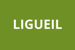 Agence CAF LIGUEIL