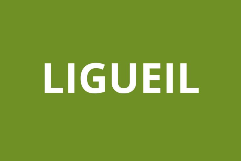 Agence CAF LIGUEIL