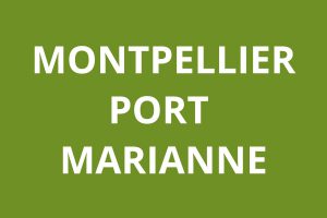 Agence CAF Montpellier port marianne