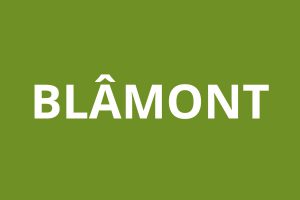 Agence CAF BLÂMONT