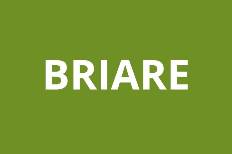 Agence CAF BRIARE