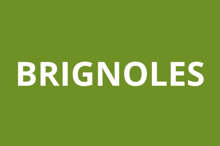 Agence CAF BRIGNOLES logo