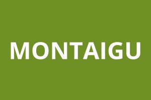 Agence CAF Montaigu logo