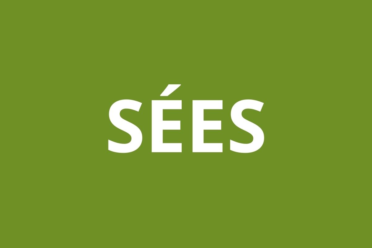 Logo agence CAF SÉES