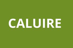 Agence CAF Caluire logo