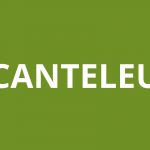 logo agence CAF CANTELEU