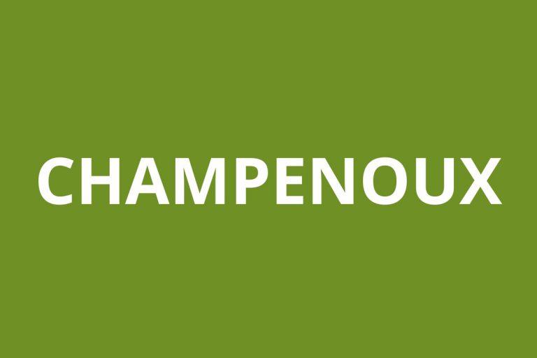 Agence CAF CHAMPENOUX