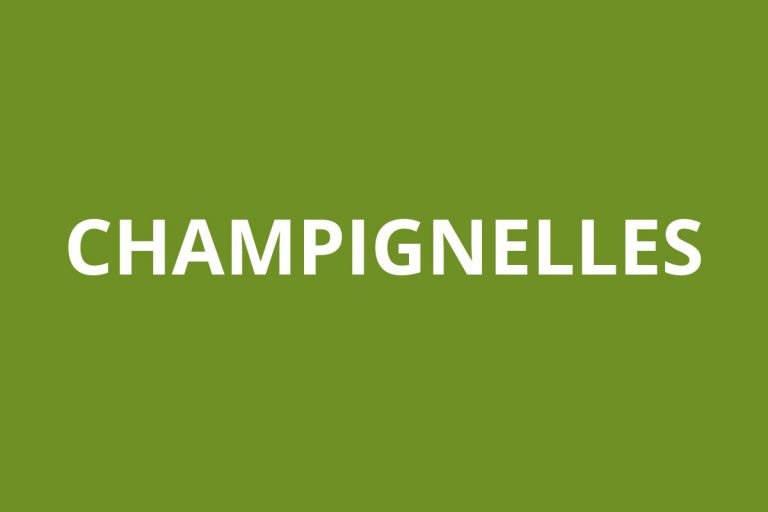 Agence CAF CHAMPIGNELLES