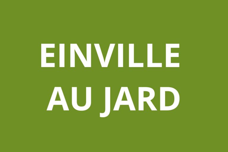 Agence CAF EINVILLE AU JARD
