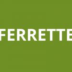 Agence CAF FERRETTE
