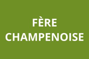 Agence CAF Fère-Champenoise