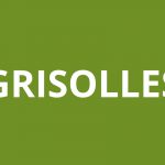 Agence CAF GRISOLLES