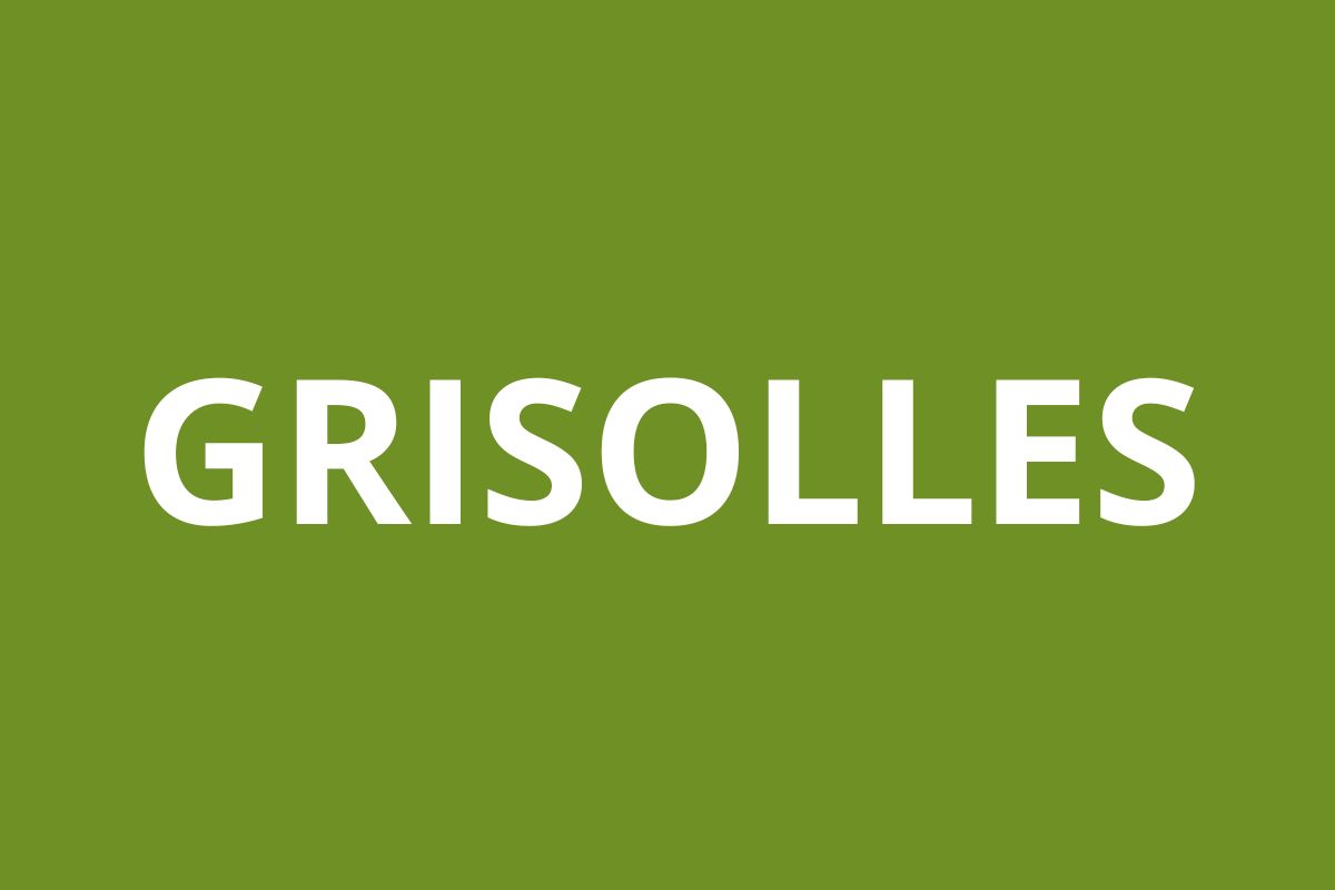 Agence CAF GRISOLLES