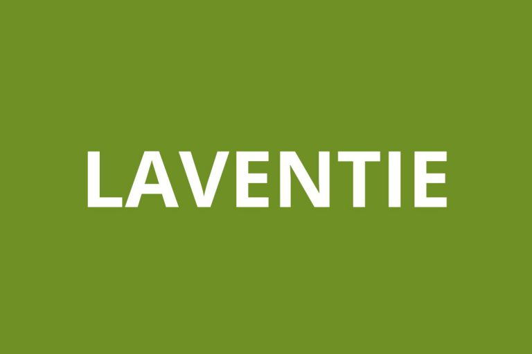 Agence CAF LAVENTIE