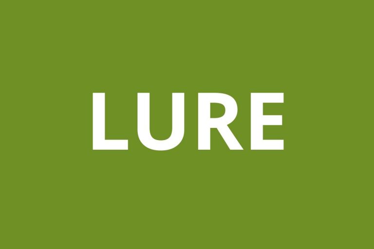 logo agence CAF LURE