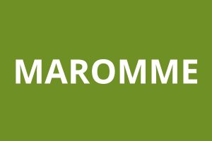 logo agence CAF MAROMME