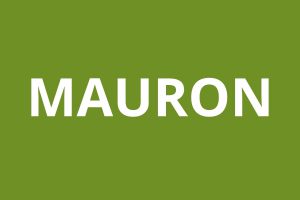 logo agence CAF Mauron