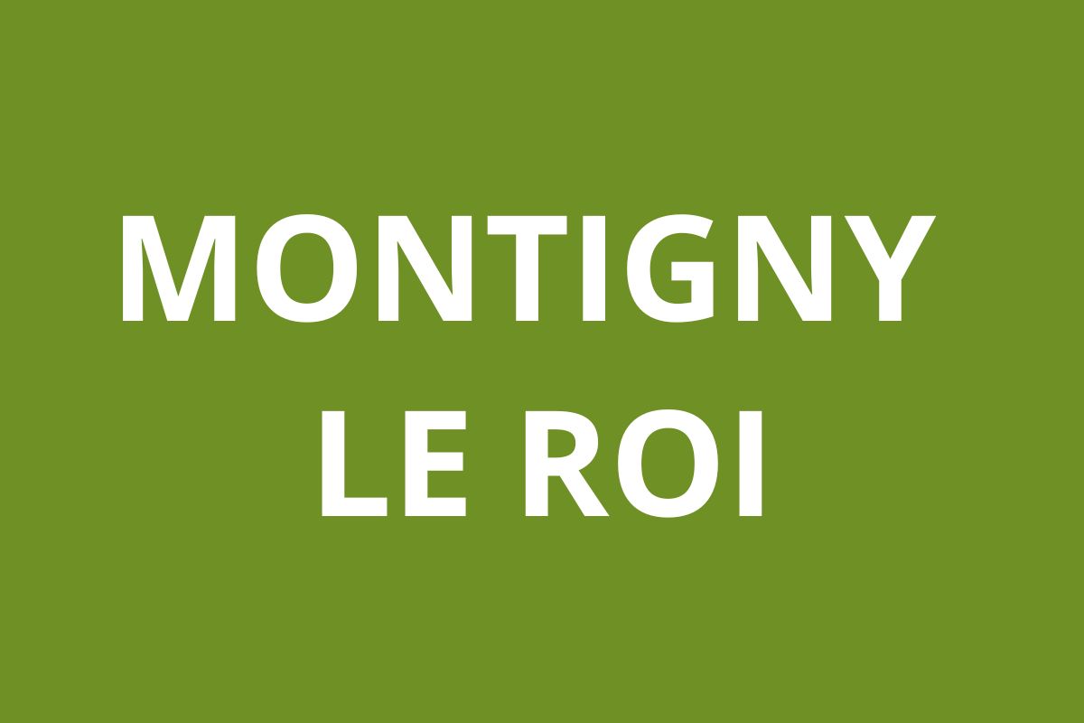 Agence CAF MONTIGNY LE ROI
