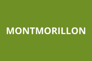 agence CAF MONTMORILLON logo