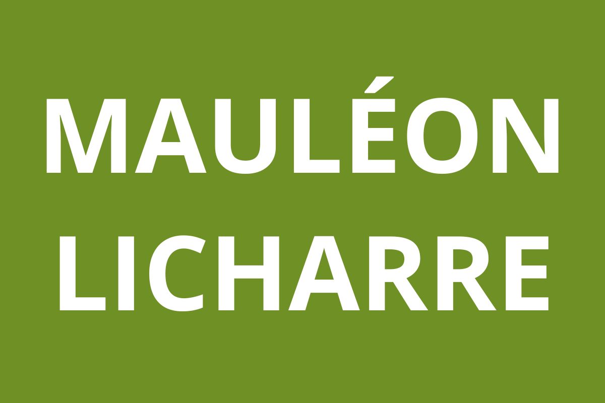 Agence CAF Mauléon-Licharre