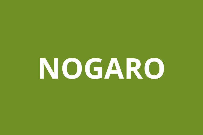 Agence CAF NOGARO