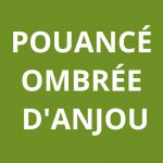 Agene CAF Pouancé - Ombrée d'Anjou