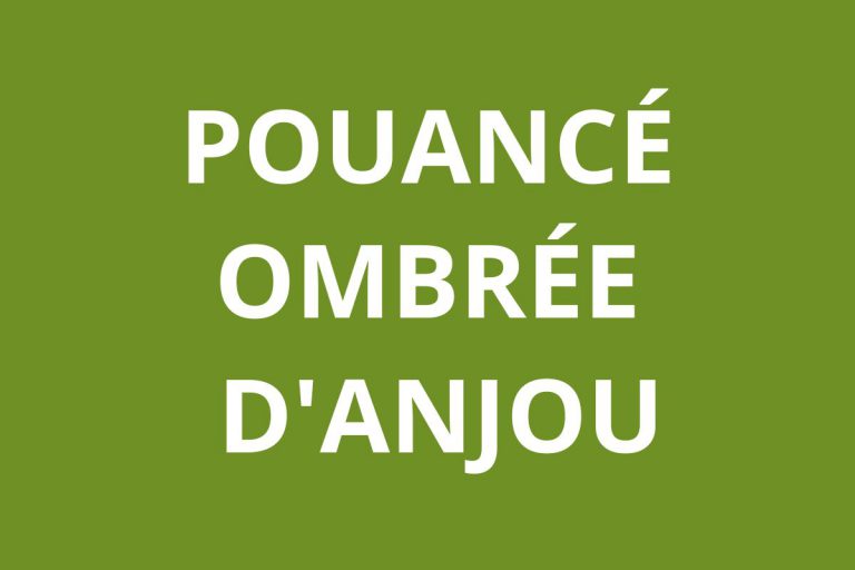 Agene CAF Pouancé - Ombrée d'Anjou