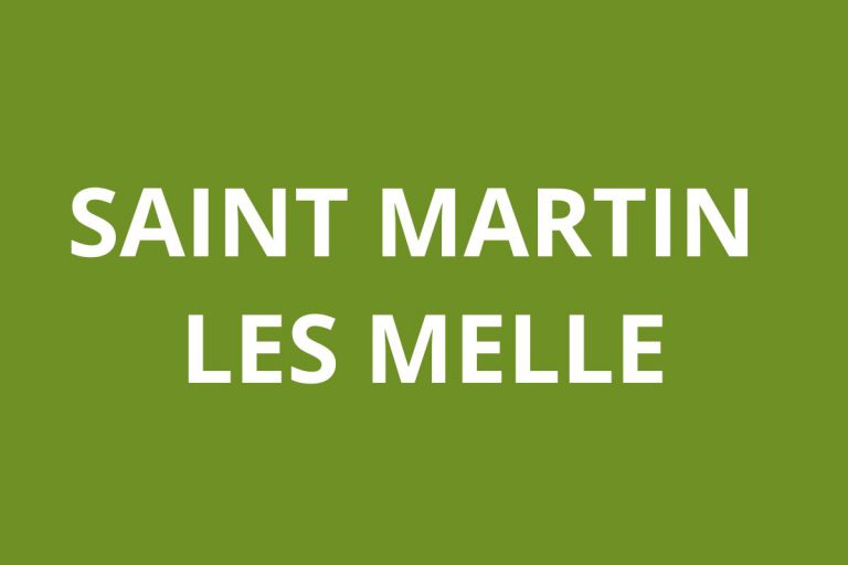 Agence CAF SAINT MARTIN LES MELLE