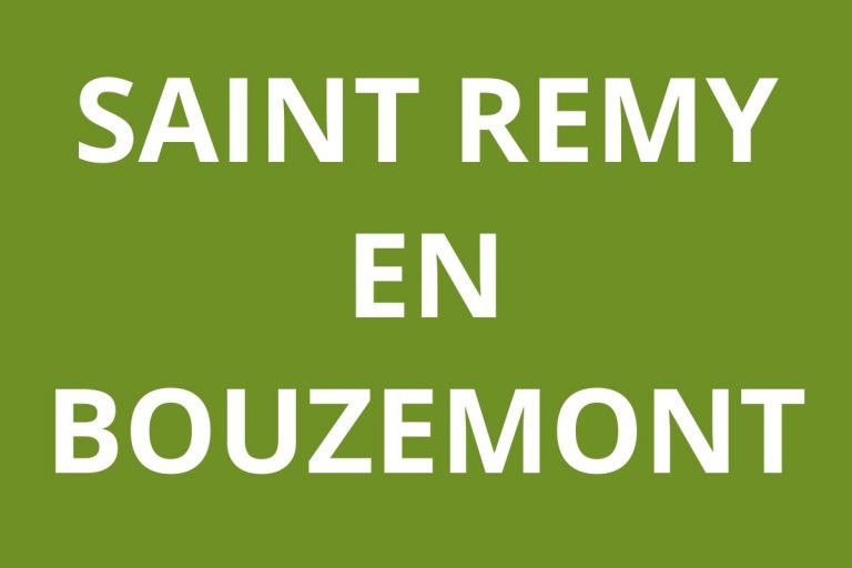 logo Agence CAF SAINT REMY EN BOUZEMONT