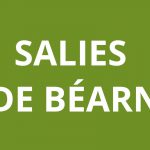 Agence CAF SALIES DE BÉARN