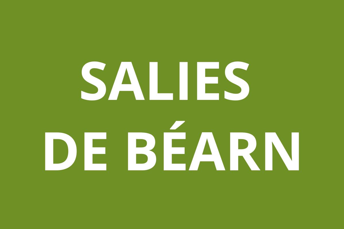 Agence CAF SALIES DE BÉARN
