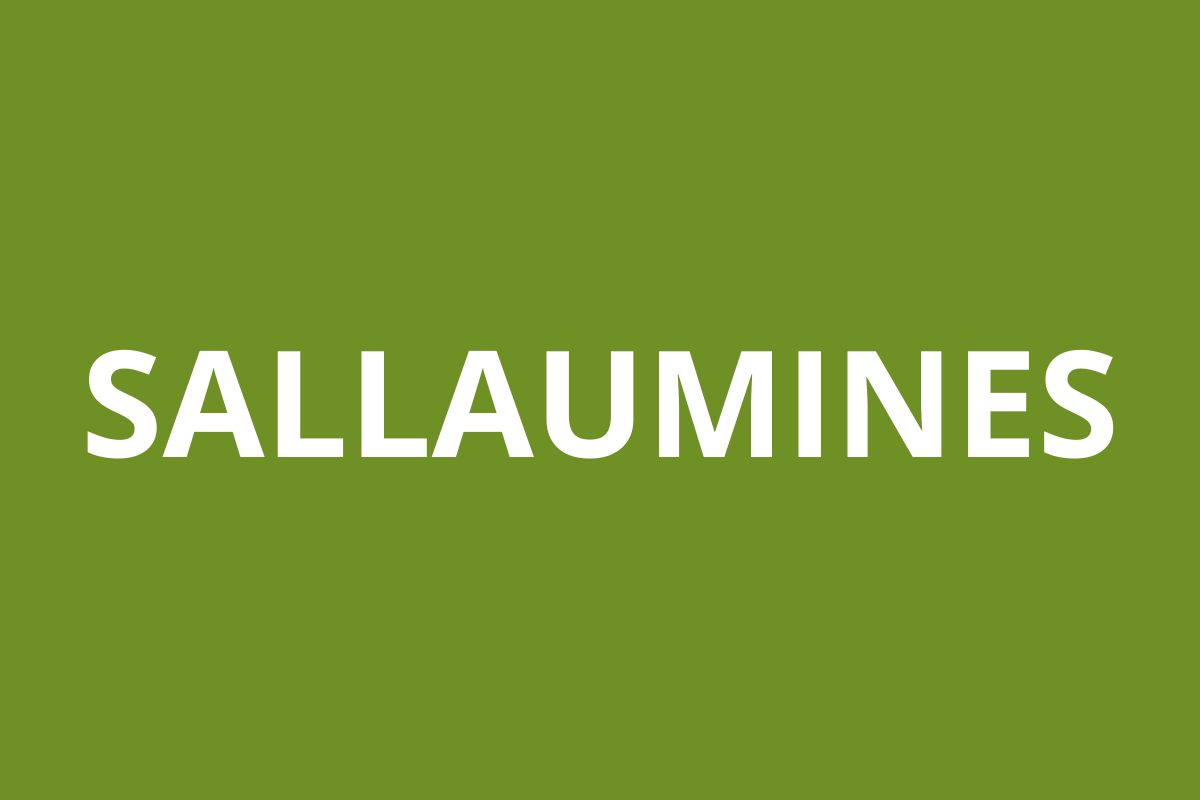Agence CAF SALLAUMINES