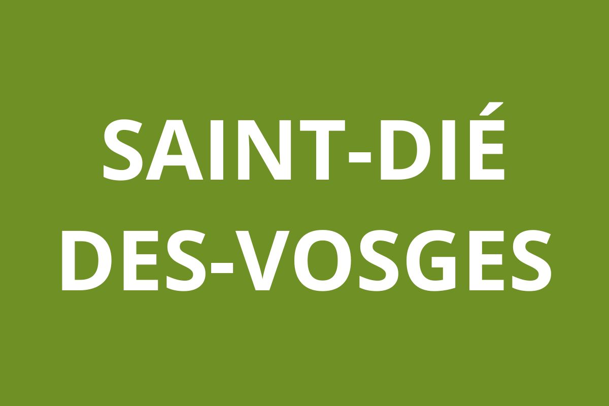 Agence CAF Saint-Dié-des-Vosges
