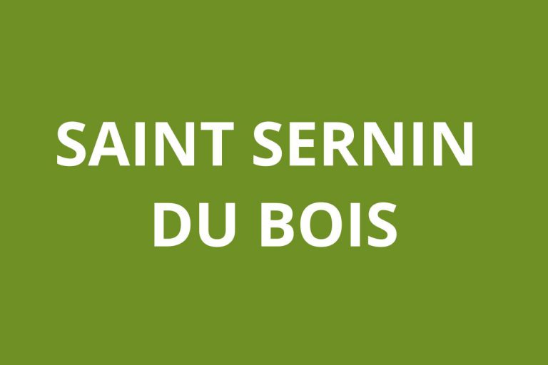 Agence CAF SAINT SERNIN DU BOIS