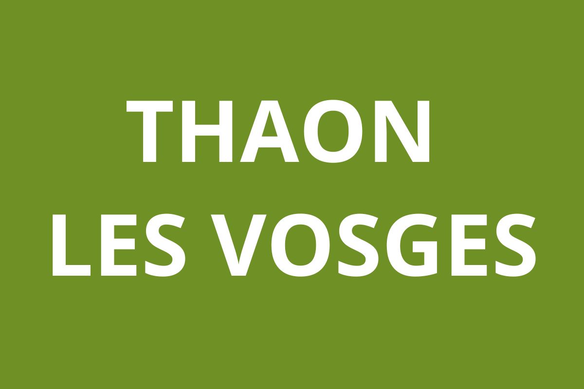 Agence CAF THAON LES VOSGES