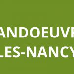 agence CAF VANDOEUVRE-LES-NANCY logo