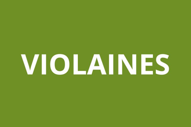 Agence CAF VIOLAINES