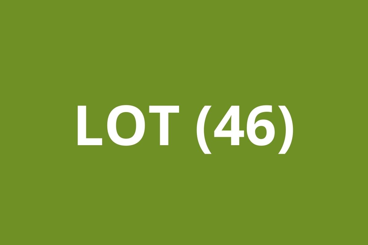 CAF Lot (46)