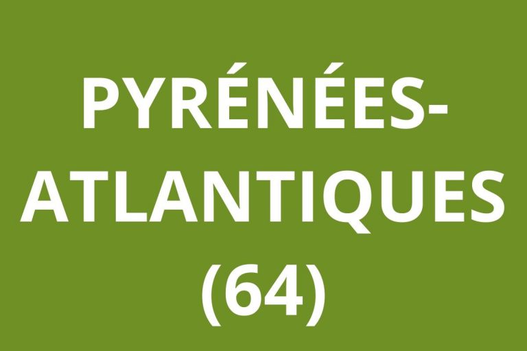 LOGO CAF Pyrénées-Atlantiques (64)