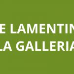 Agence CAF LE LAMENTIN- La Galleria