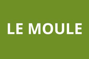 Agence CAF LE MOULE